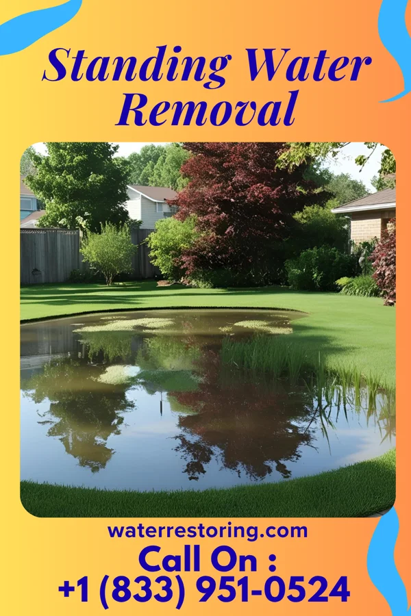 Standing Water Removal in Toccoa, GA